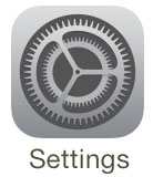 iPhone iOS 7 Settings Icon