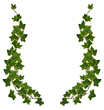 Ivy Leaves Border Clip Art