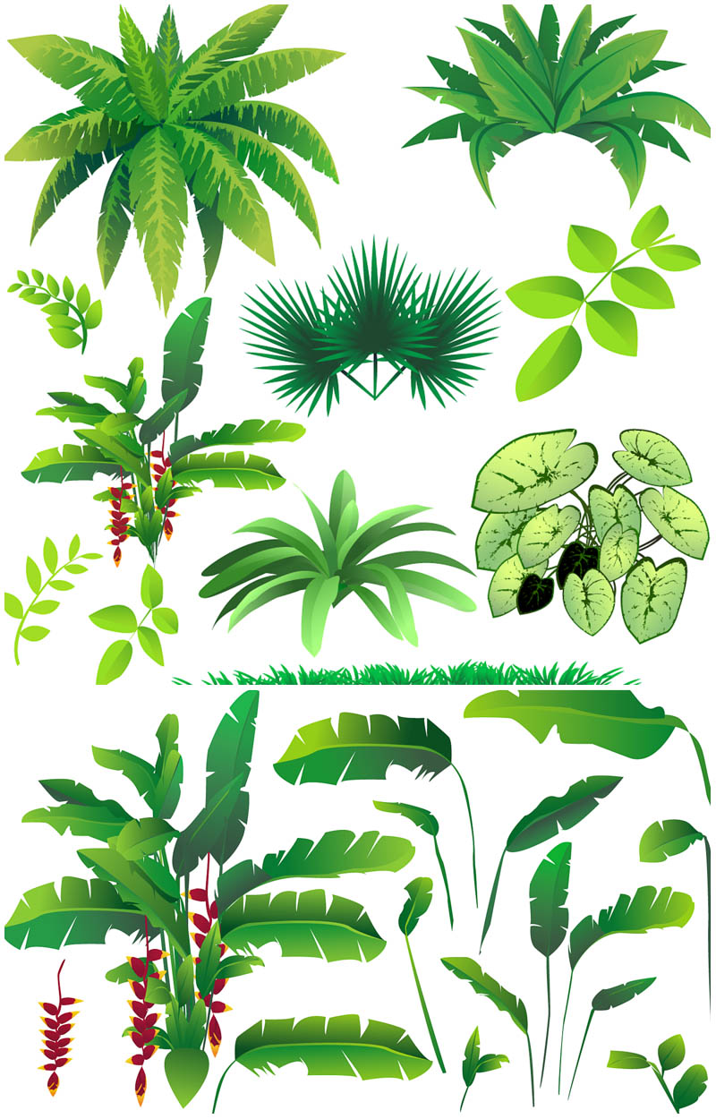 Jungle Plants Clip Art