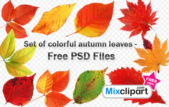 Leaves Clip Art Transparent Background