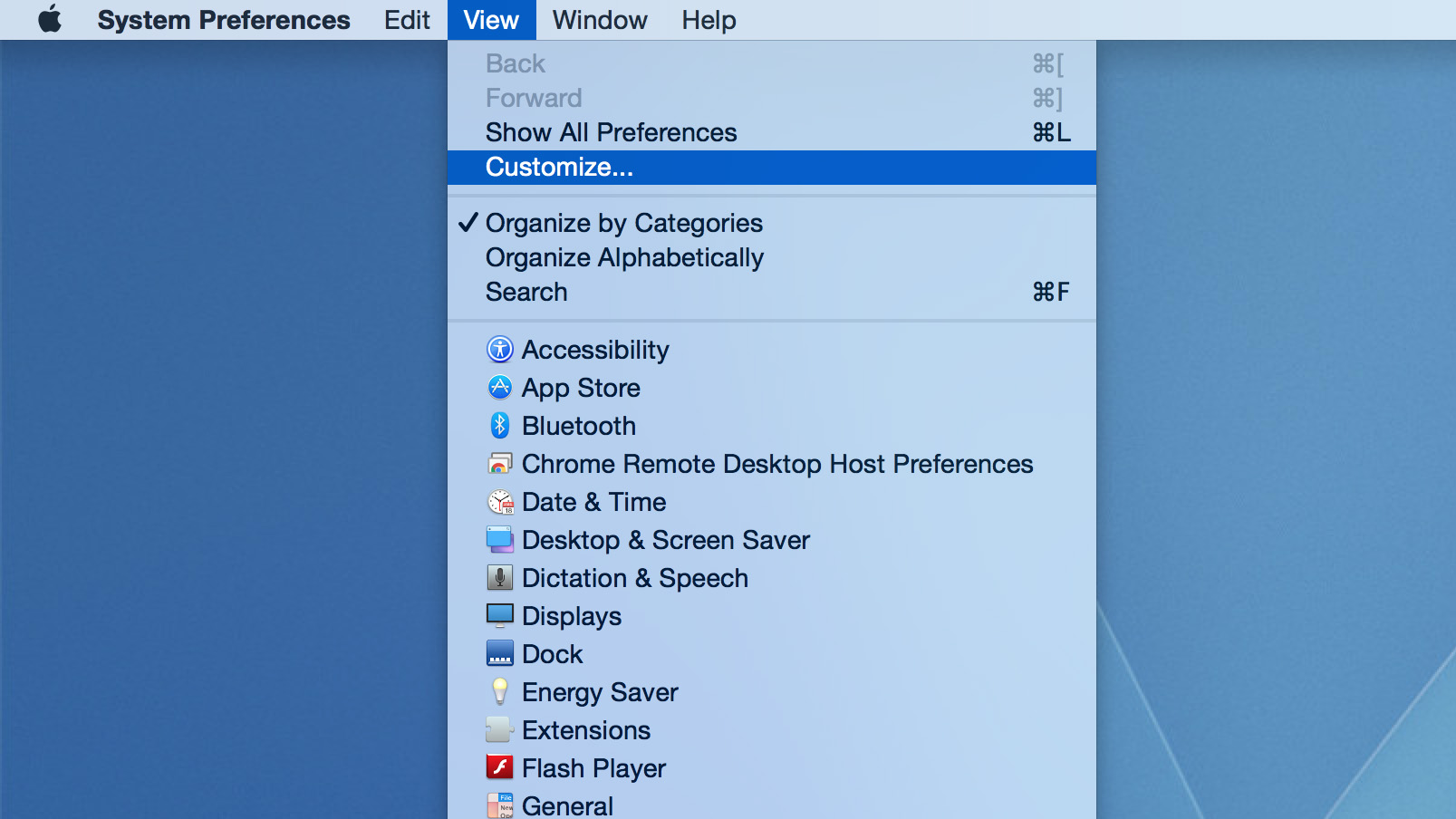 Mac OS X System Preferences Icon