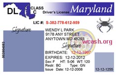 Maryland Driver's License Template