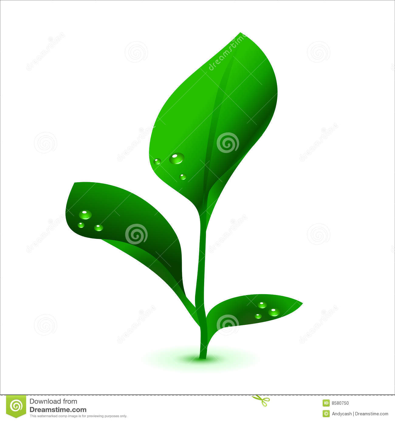 Plant Vector Graphic