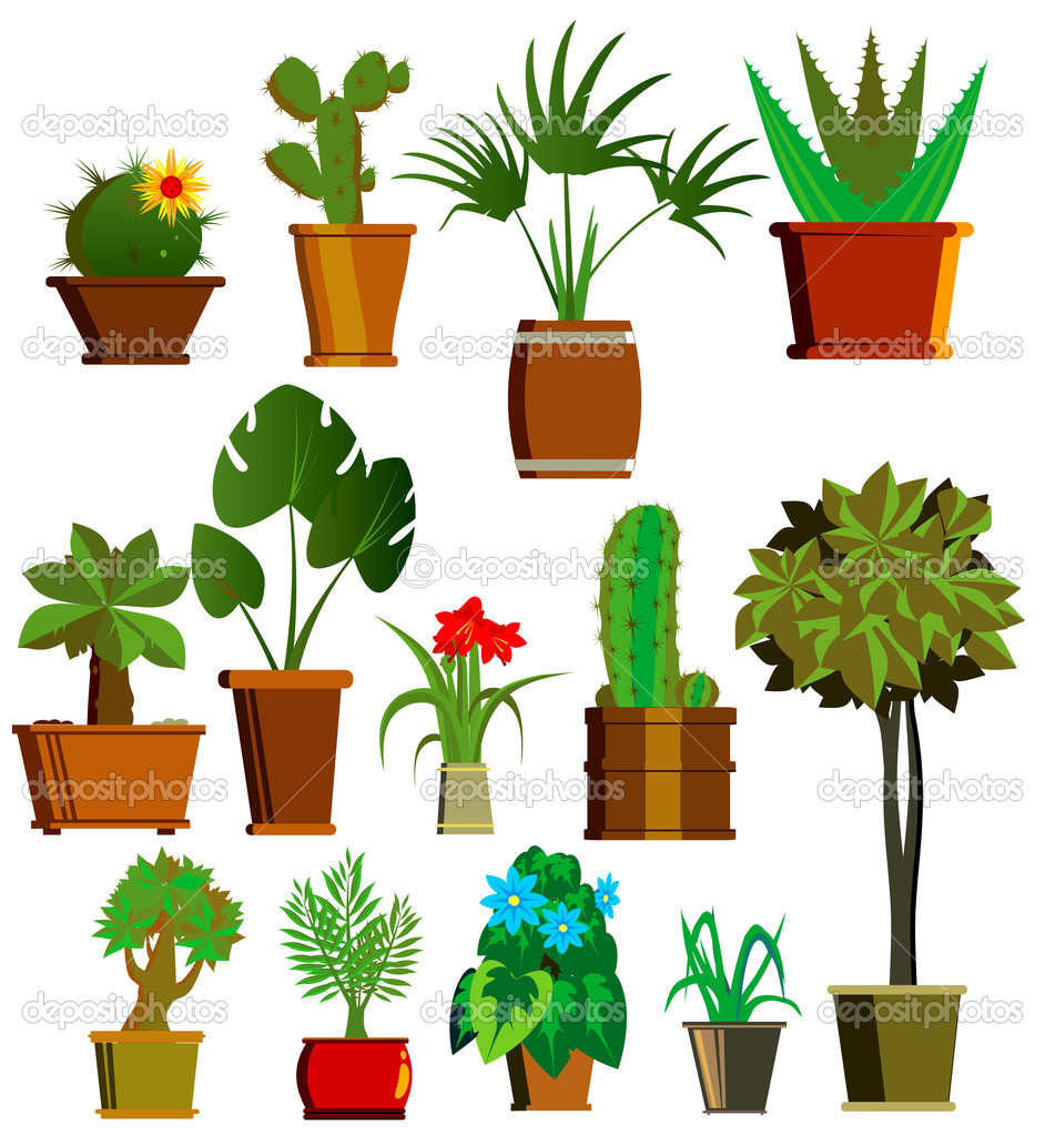 Potted Plant Vector