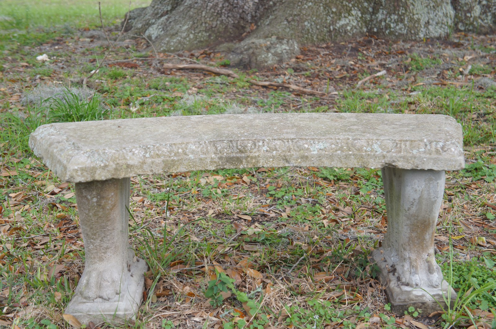 Public Park Bench