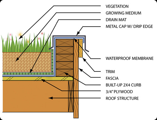 Residential Green Roof Detail
