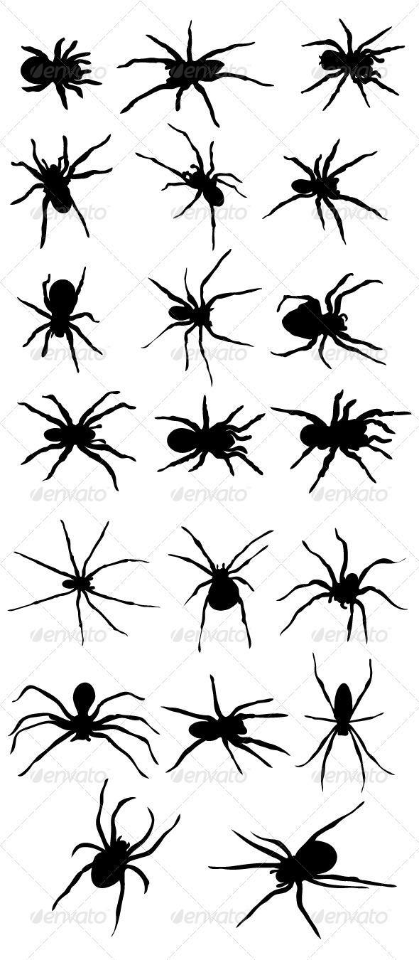 Scary Black Spider Silhouette