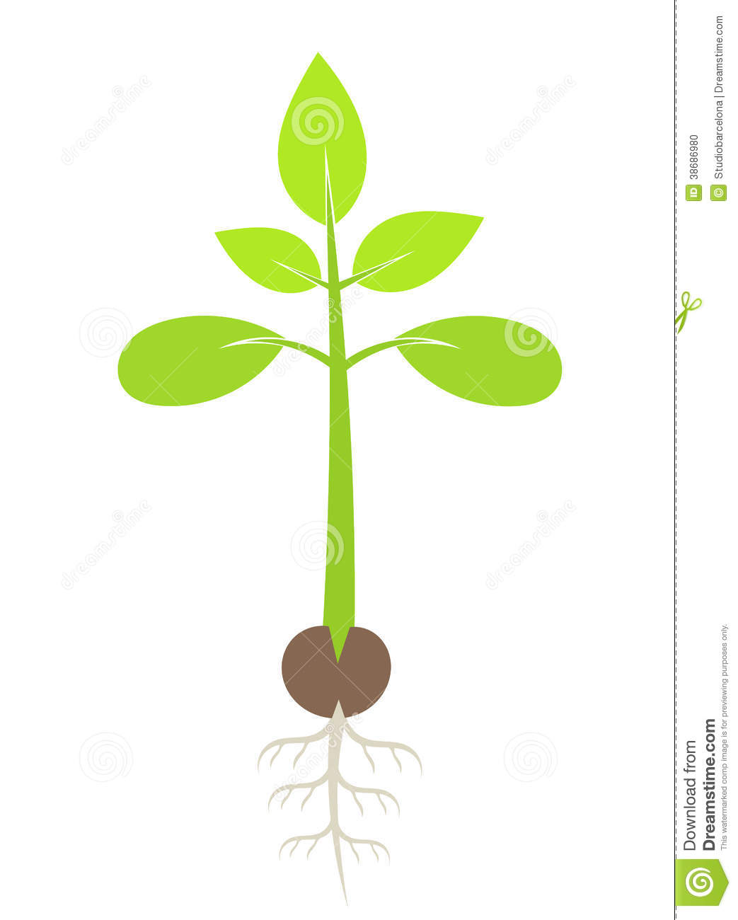 Seedling Flower Illustration