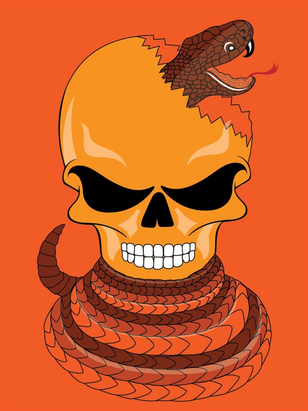 Skull and Snake Vector