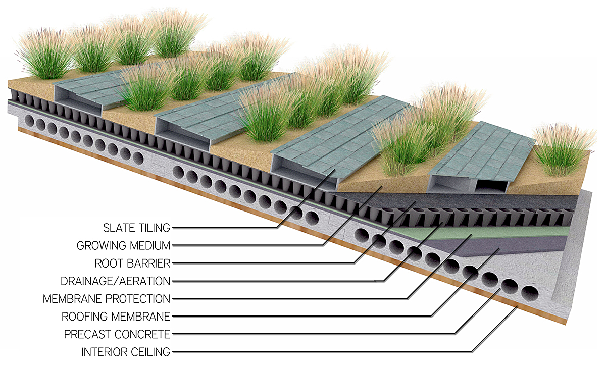 Sloped Green Roof Details