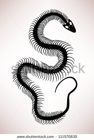 Snake Skeleton Silhouette