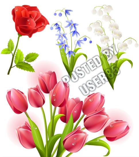 clip art flowers spring - photo #41