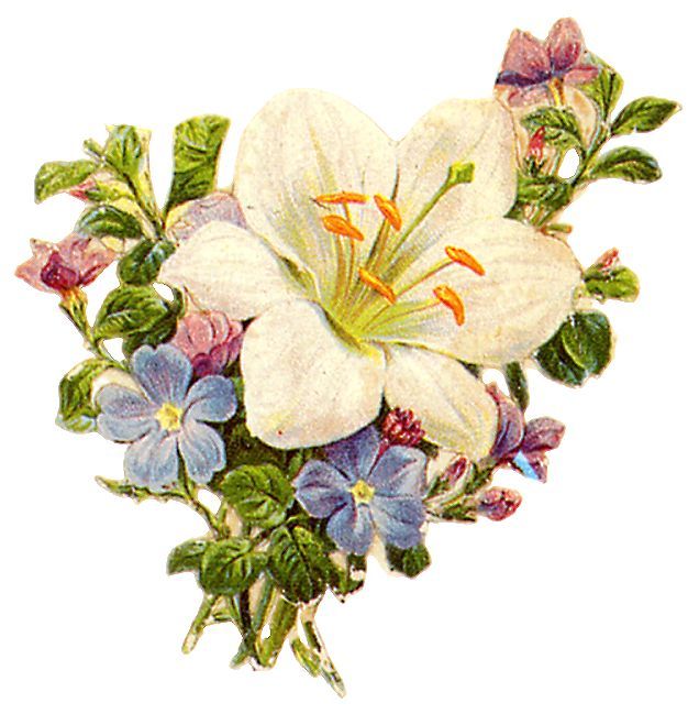 Victorian Flower Border Clip Art