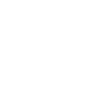 White Lock Icon Padlock