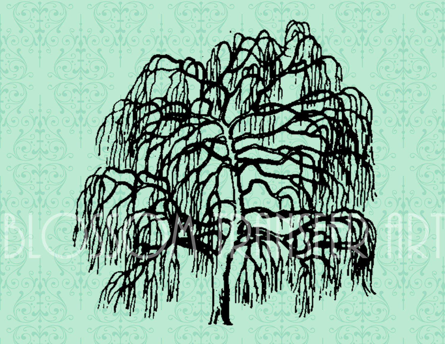 Willow Tree Clip Art