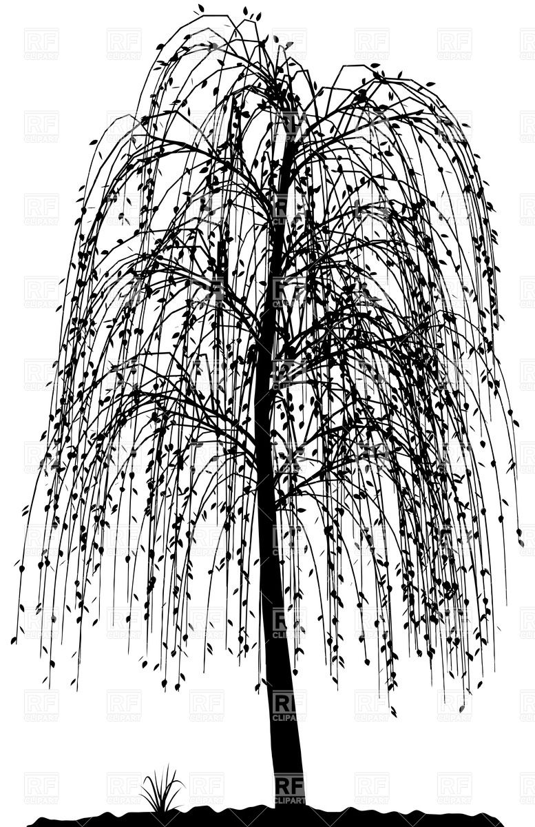 Willow Tree Silhouette Clip Art Willow Tree Silhouette Clip Art
