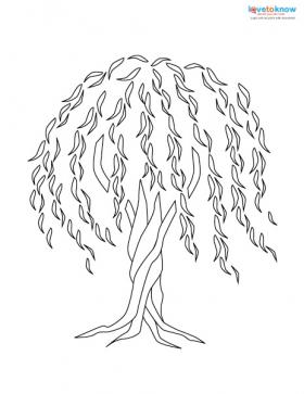 Willow Tree Tattoo