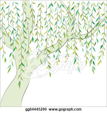 Willow Tree Vector