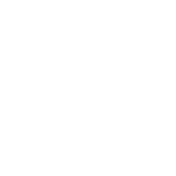 Windows Icon White Transparent