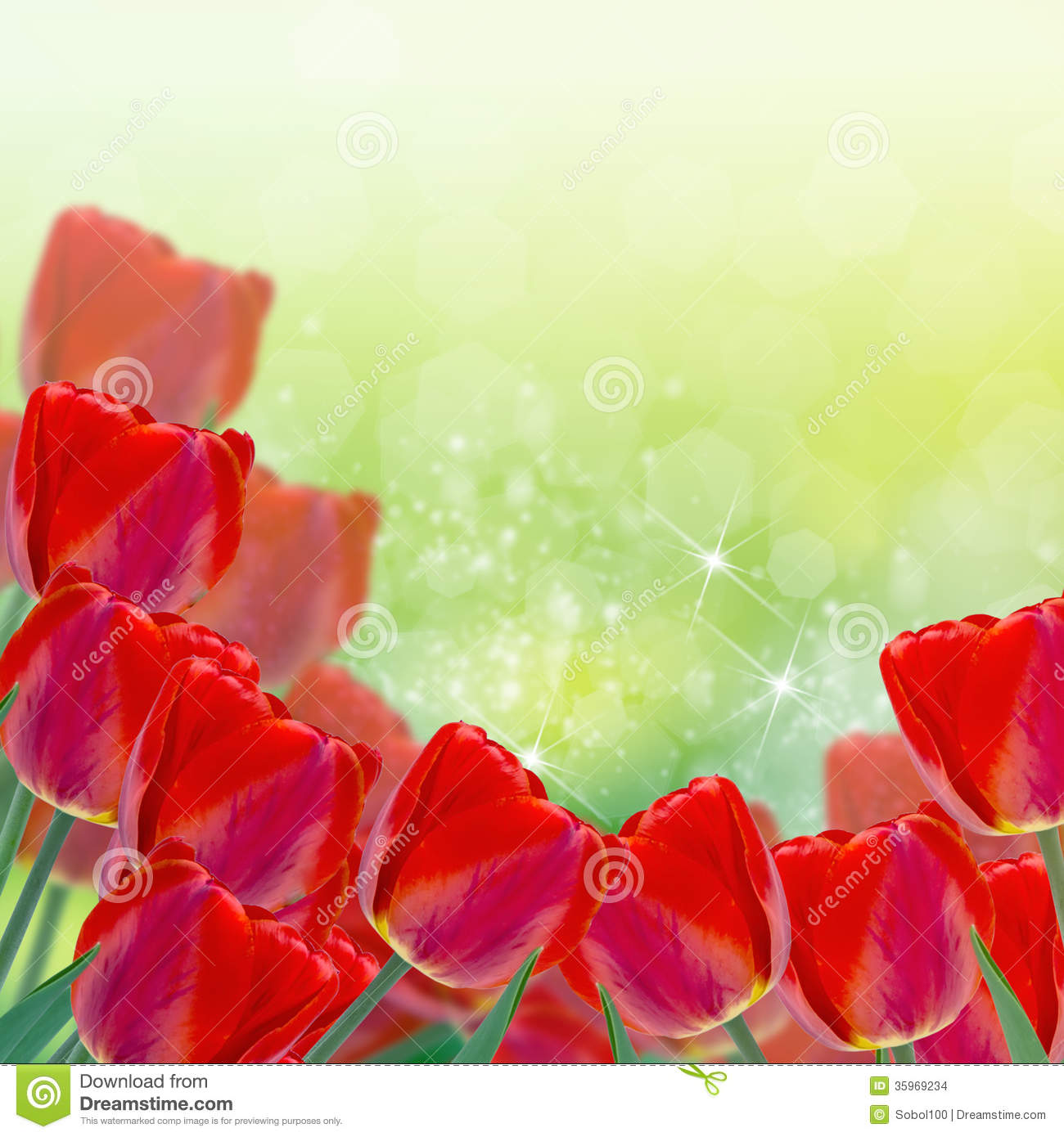 Abstract Floral Design with Fresh Flowers