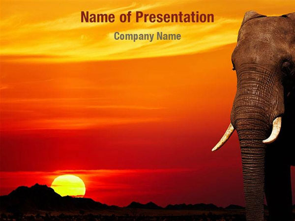 African Elephant PowerPoint Template