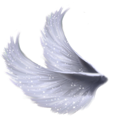 Angel Wings PSD