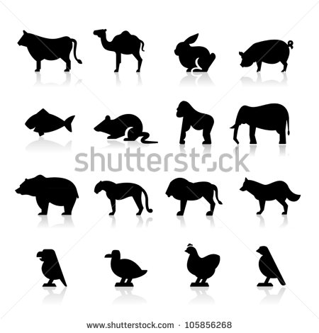 Animal Icons Vector