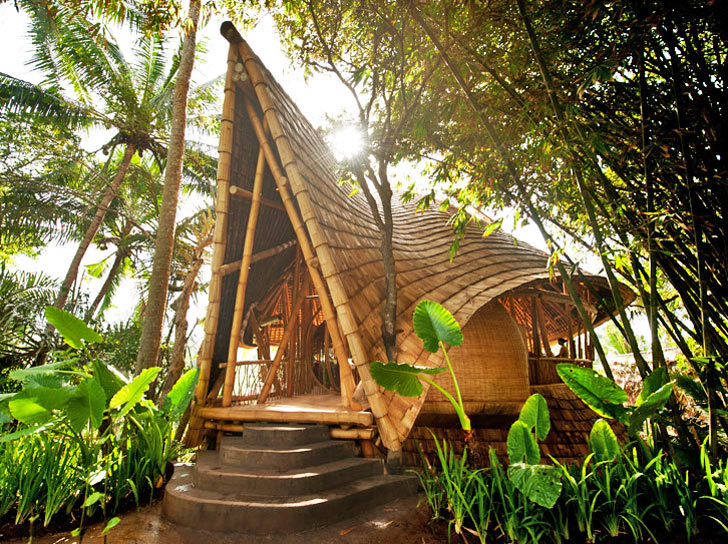 Bamboo House