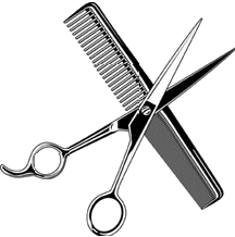 Barber Scissors and Comb