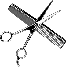 Barber Scissors and Comb