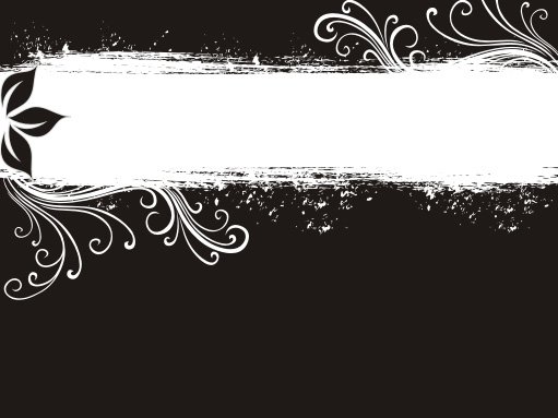 Black and White Banner Black and White Banner