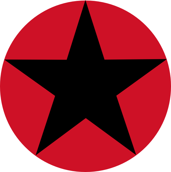 Black Star Inside Circle Logo
