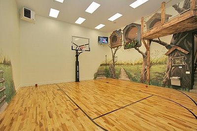 Cool Basketball Court Designs