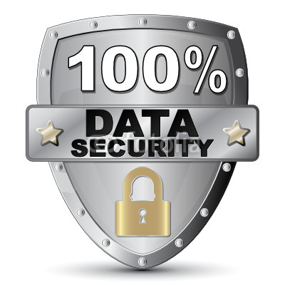 Data Security Icon