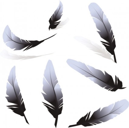 Eagle Feather Vector