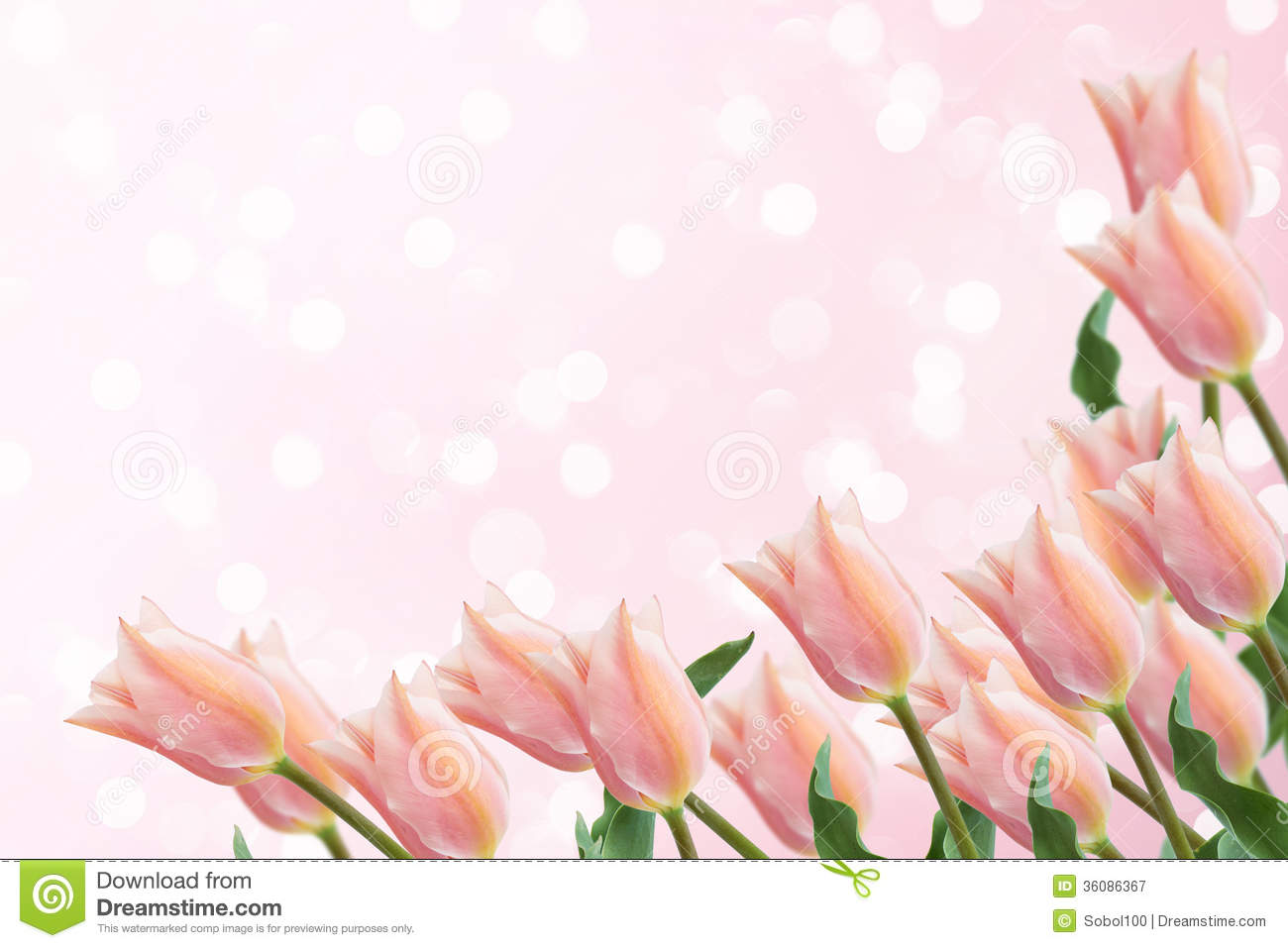 Elegant Spring Flower Designs