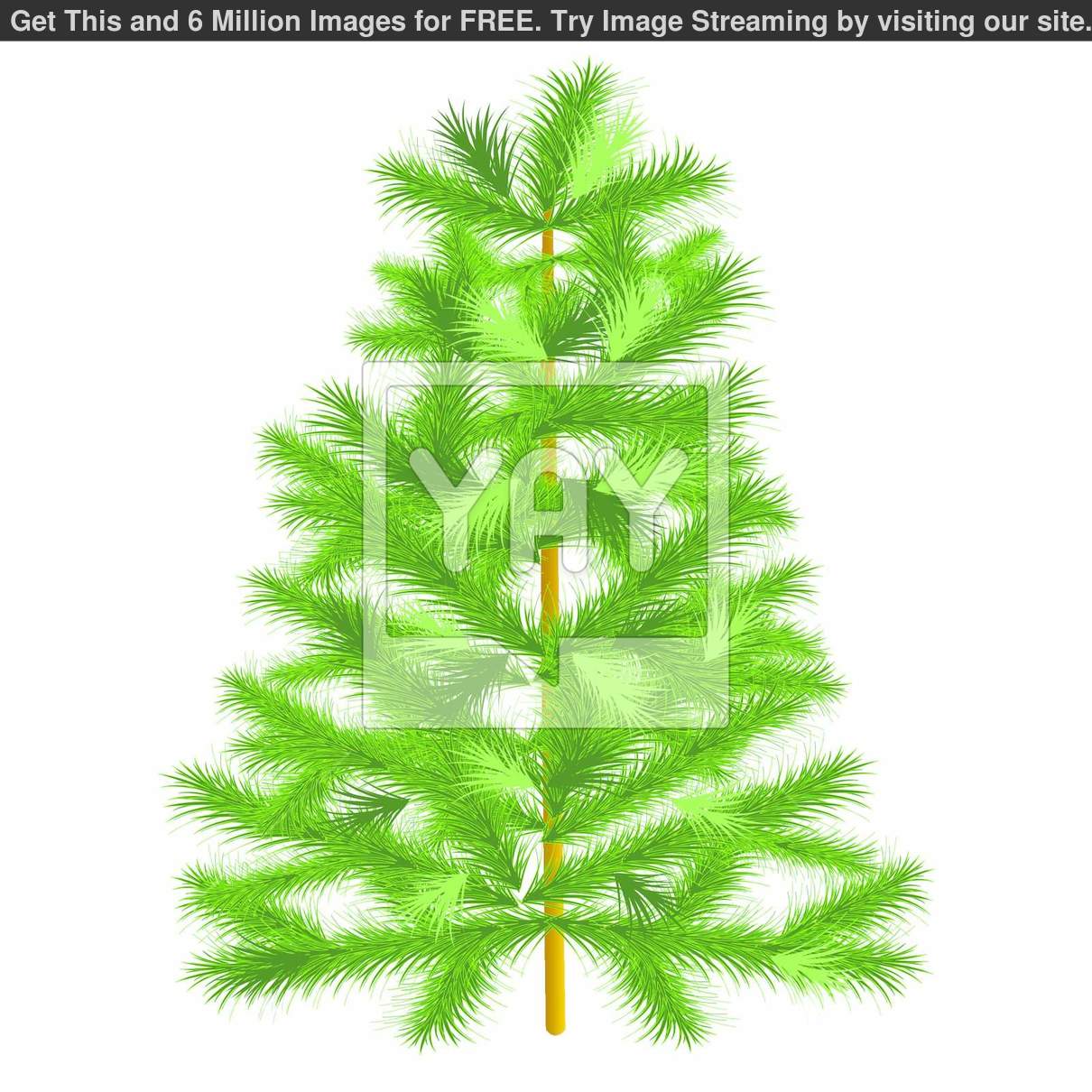 Evergreen Tree Clip Art