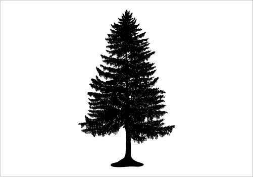 Evergreen Tree Silhouette Graphics