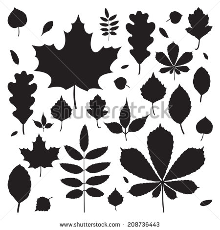 Fall Leaves Silhouette Vector