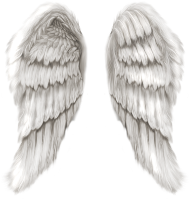 Feathered Angel Wings