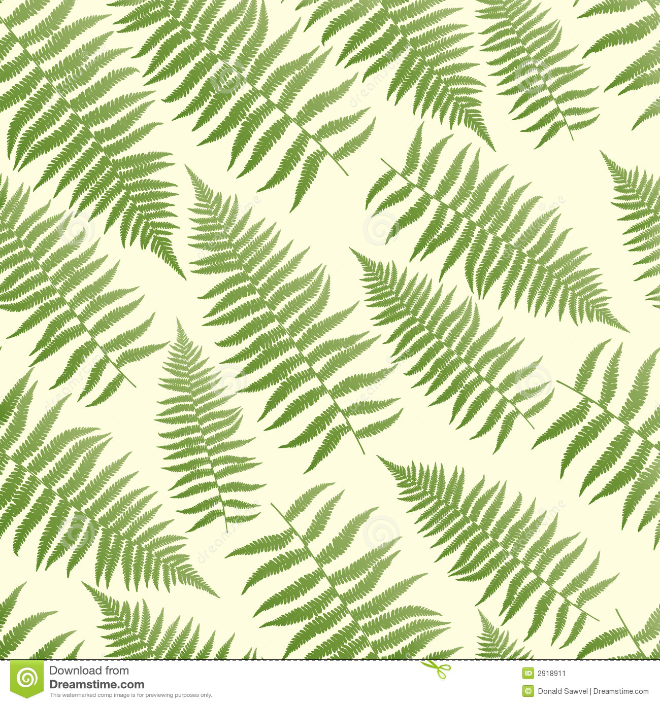 Fern Leaf Pattern