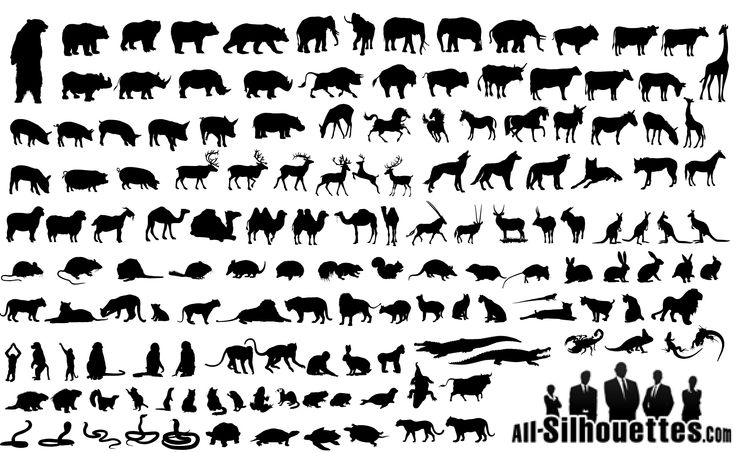 Free Animal Silhouette Icons