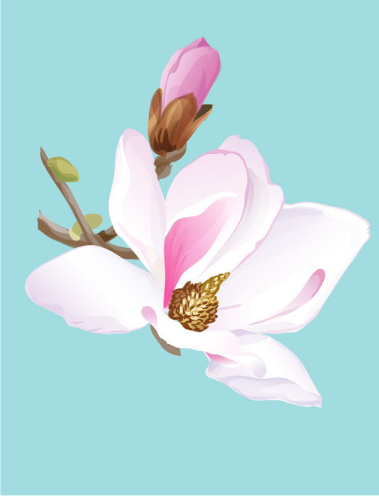 Free Vector Watercolor Flower Free Vector Watercolor Flower