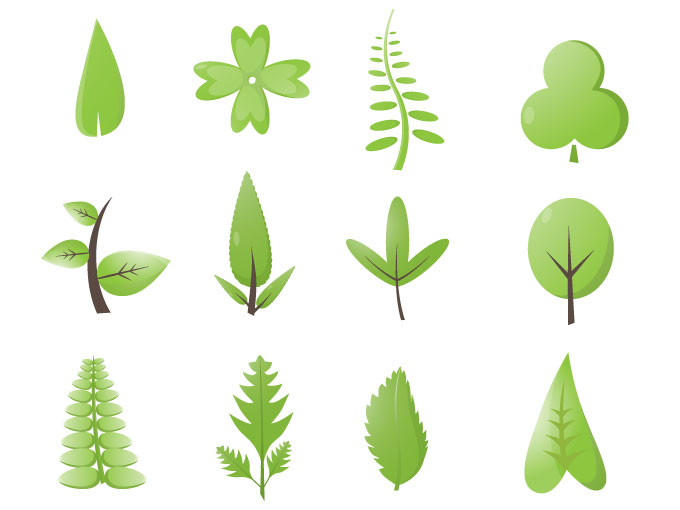 Green Leaf Vector