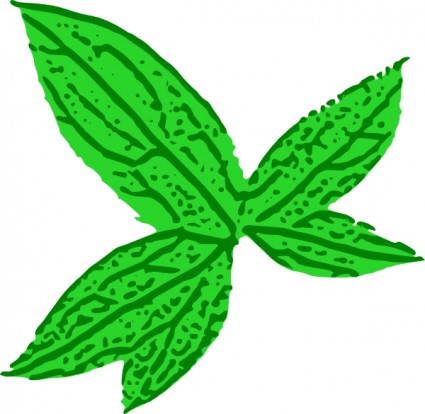 Green Leaves Clip Art Free