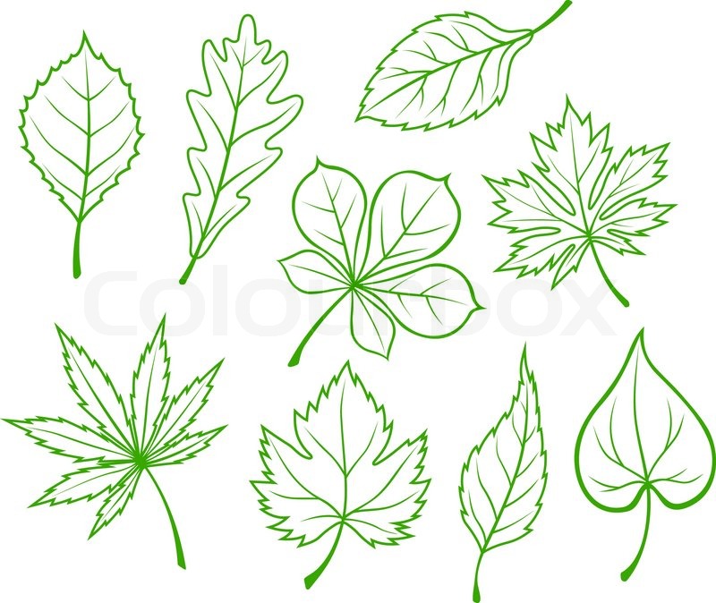 Green Leaves Silhouette