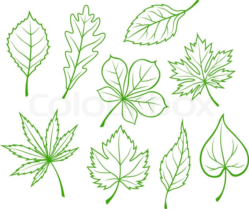 Green Leaves Silhouette Green Leaves Silhouette
