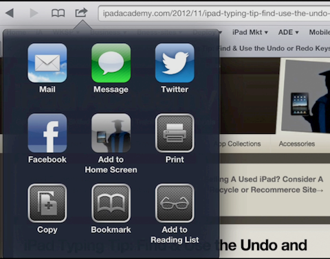 iPad Safari Icon