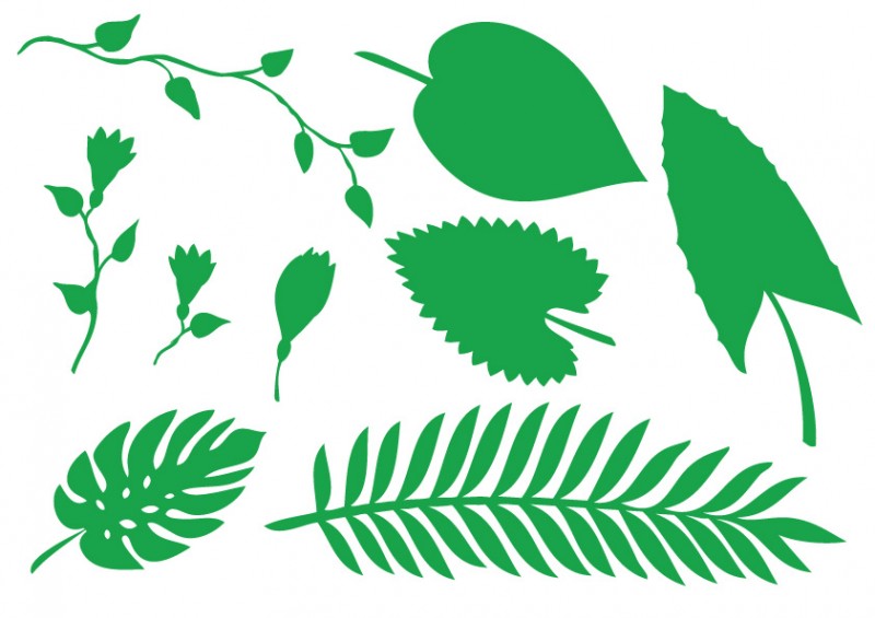 Jungle Leaves Vector