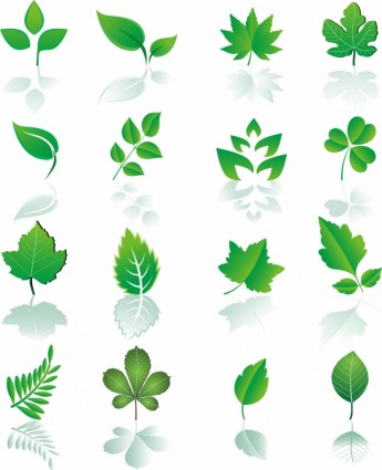 Leaf Design Element Set